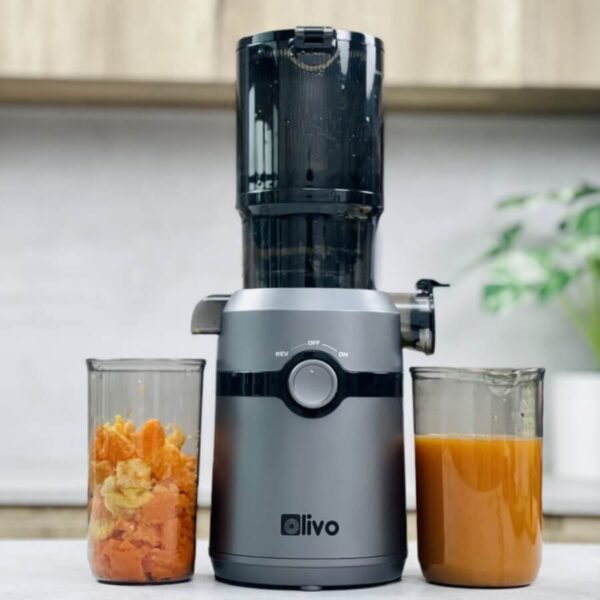Review máy ép chậm Olivo SJ240 - máy ép