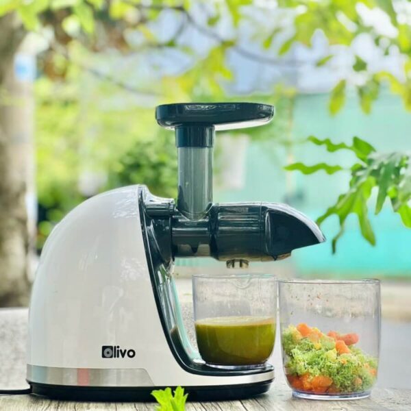 Review máy ép chậm Olivo SJ22